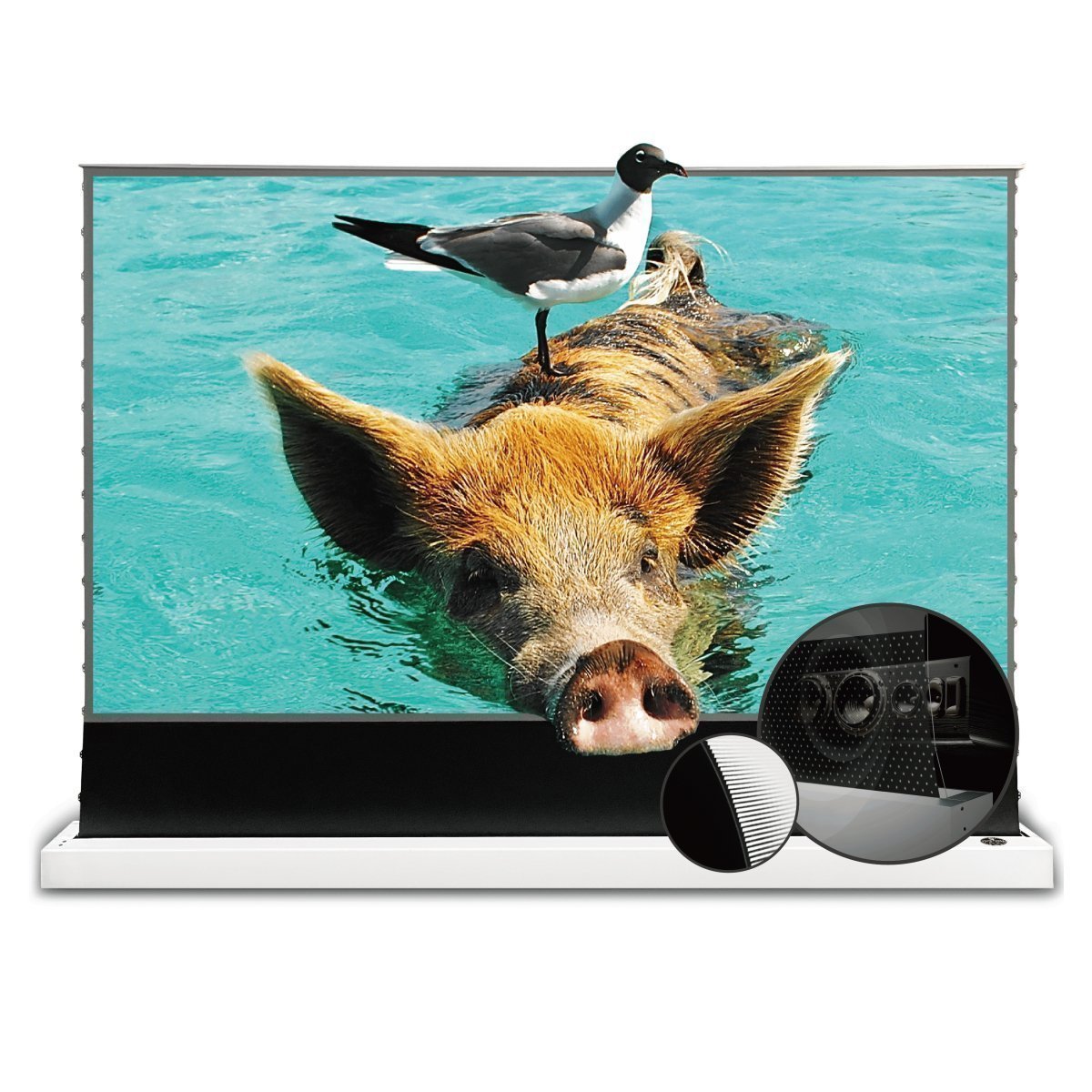 72"-120" VIVIDSTORM S PRO P Motoriseret 4K HD 3D Floor Rising UST ALR Projektorskærm
