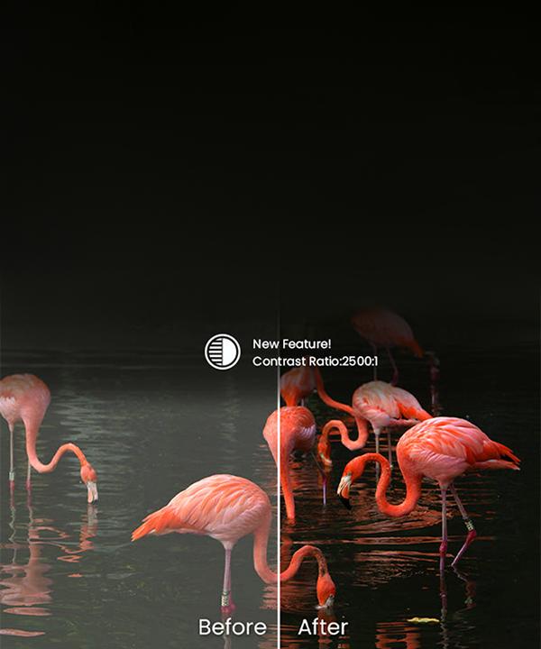 awol vision ltv-2500 ust projector Enhanced Black Level