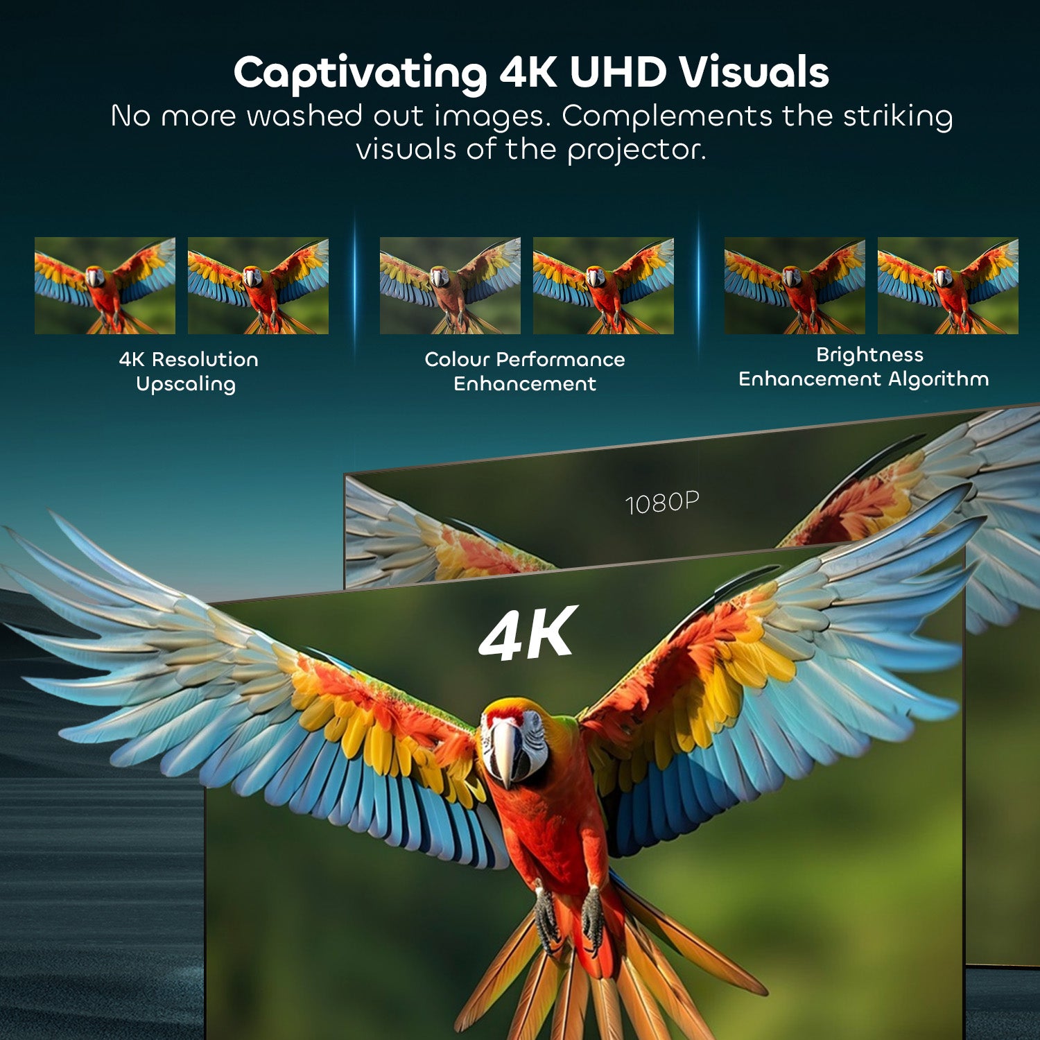 NP UST ALR 132inch screen with captivating 4K UHD visuals with anti-washout color & brightness enhancement for projectors