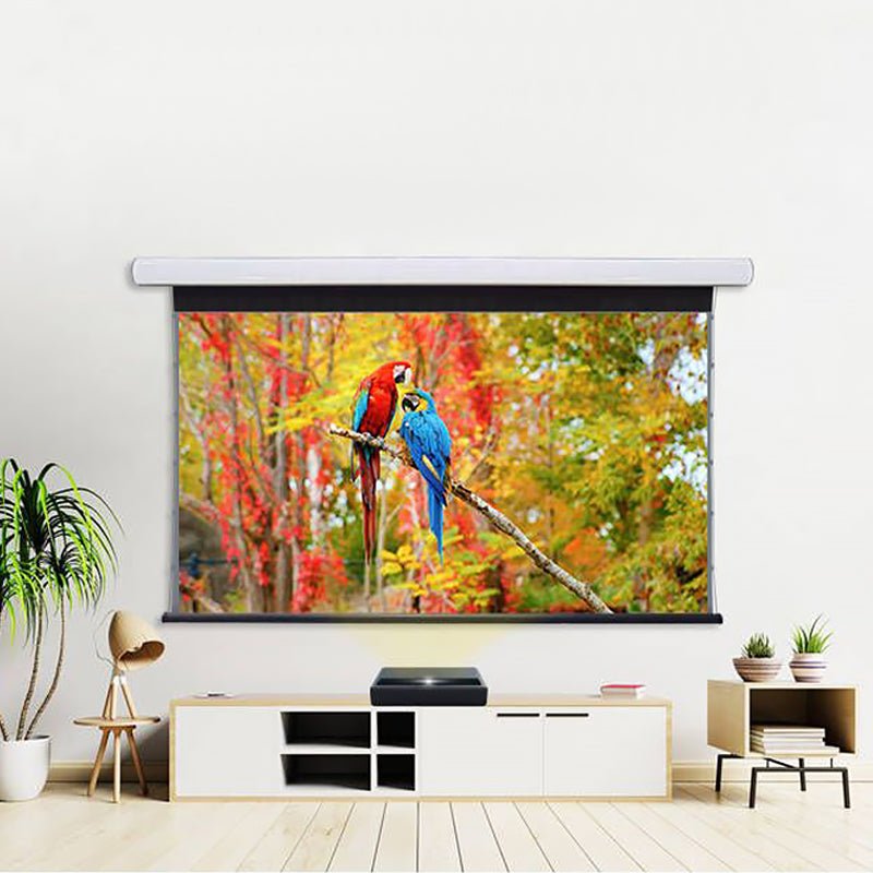 NothingProjector Black Serise Slimline Motorized Tension Drop Down ALR Projector Screen