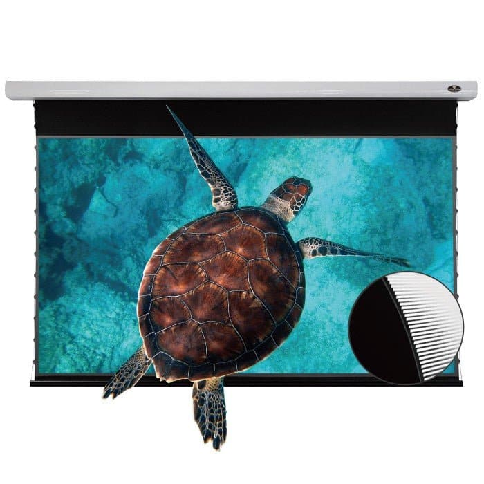 VIVIDSTORM PRO Slimline Motorized Tension UST ALR Projector Screen - Nothingprojector