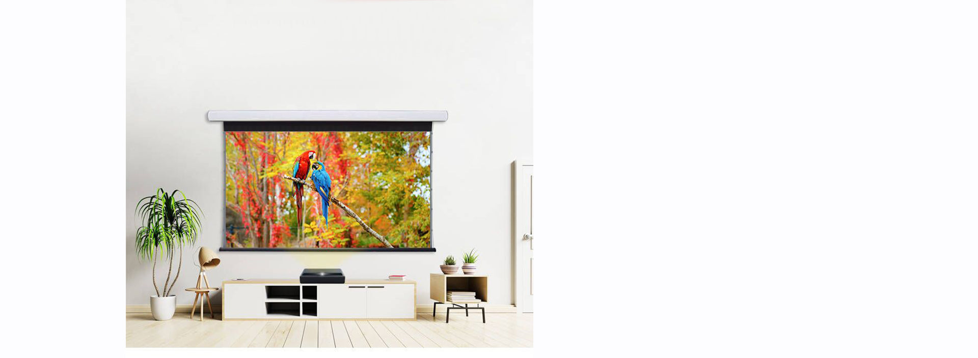 NothingProjector Black Serise Slimline Motorized Tension Drop Down ALR ...