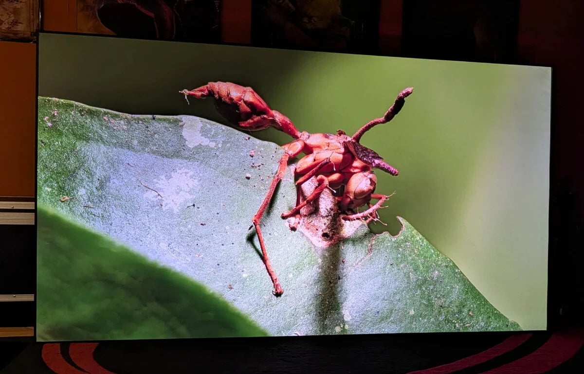 Gets the Absolute Best Out of Your Projector — @Frandroid